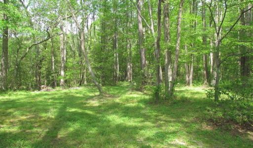 Photo of SOLD!  3.4 Acres of Residential Farm Land with Home in Isle of Wight County VA!