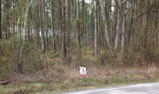 Photo of SOLD!  5 Acres of Residential Land For Sale in Surry County VA!