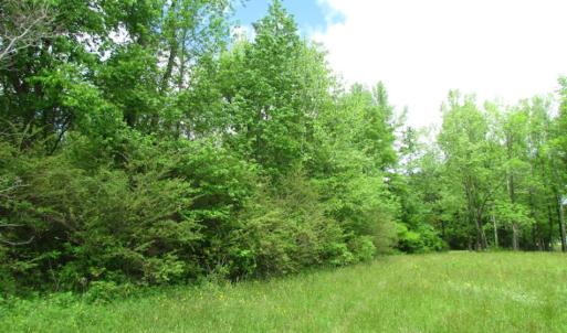 Photo of SOLD!  7.7 Acres of Residential Hunting Land For Sale in Greensville County VA!