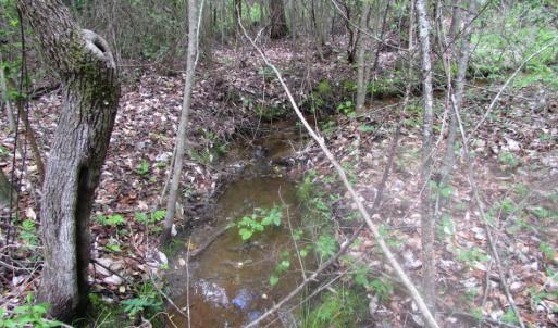 Photo of SOLD!  7.7 Acres of Residential Hunting Land For Sale in Greensville County VA!