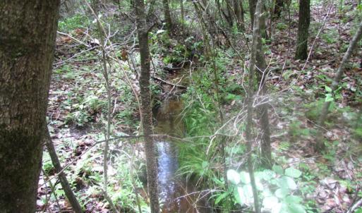 Photo of SOLD!  7.7 Acres of Residential Hunting Land For Sale in Greensville County VA!