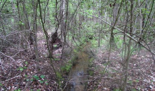 Photo of SOLD!  7.7 Acres of Residential Hunting Land For Sale in Greensville County VA!