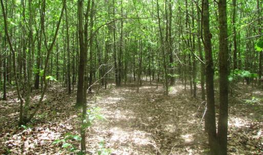 Photo of SOLD!  7.7 Acres of Residential Hunting Land For Sale in Greensville County VA!