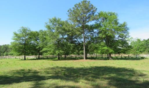 Photo of PENDING!  10 Acres of Residential and Horse Property For Sale in Scotland County NC!