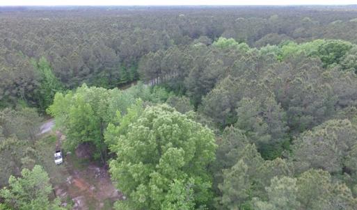 Photo of SOLD!  12.5 Acres of Hunting and Timber Land For Sale in Hertford County NC!
