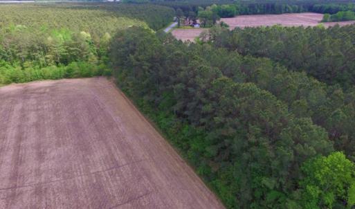 Photo of SOLD!  12.5 Acres of Hunting and Timber Land For Sale in Hertford County NC!