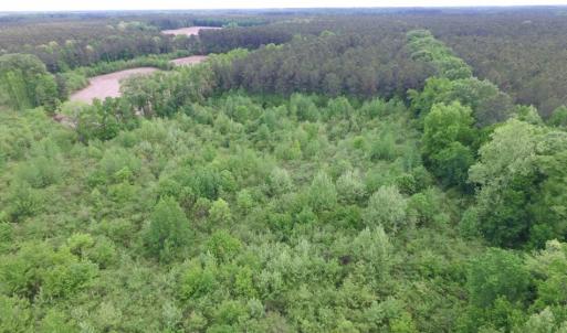 Photo of SOLD!  12.5 Acres of Hunting and Timber Land For Sale in Hertford County NC!