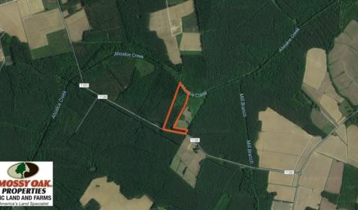 Photo of SOLD!  12.5 Acres of Hunting and Timber Land For Sale in Hertford County NC!