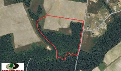 Photo of UNDER CONTRACT!  20 Acres of Hunting and Farm Land For Sale in Southampton County VA!