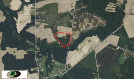 Photo of UNDER CONTRACT!  20 Acres of Hunting and Farm Land For Sale in Southampton County VA!