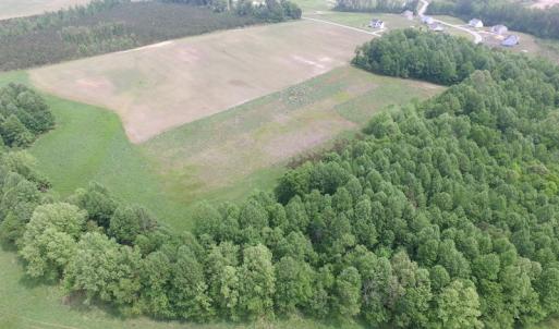 Photo of UNDER CONTRACT!  20 Acres of Hunting and Farm Land For Sale in Southampton County VA!