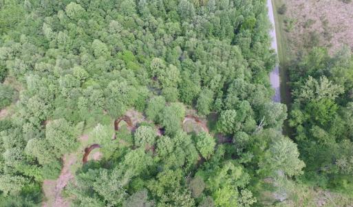 Photo of UNDER CONTRACT!  20 Acres of Hunting and Farm Land For Sale in Southampton County VA!