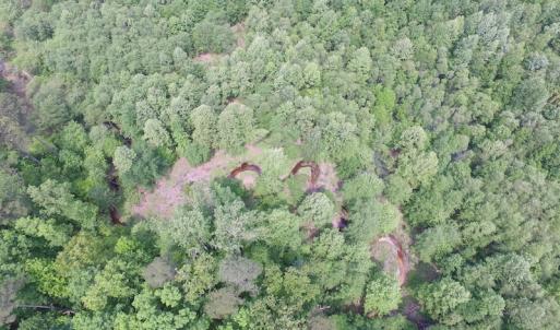 Photo of UNDER CONTRACT!  20 Acres of Hunting and Farm Land For Sale in Southampton County VA!