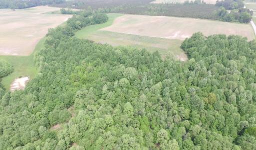 Photo of UNDER CONTRACT!  20 Acres of Hunting and Farm Land For Sale in Southampton County VA!