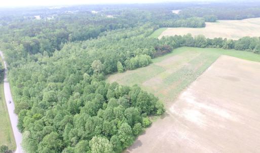 Photo of UNDER CONTRACT!  20 Acres of Hunting and Farm Land For Sale in Southampton County VA!