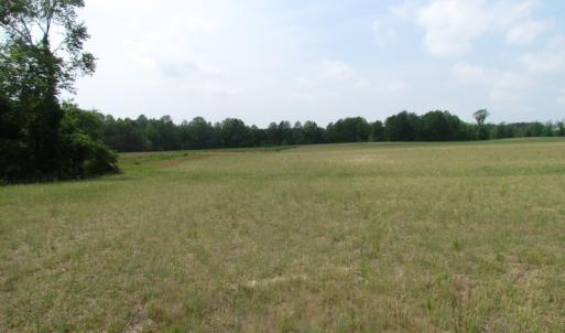 Photo of UNDER CONTRACT!  20 Acres of Hunting and Farm Land For Sale in Southampton County VA!