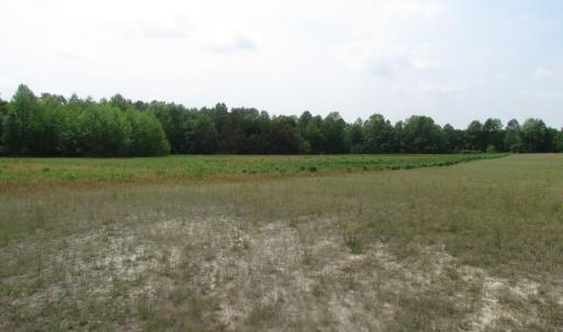 Photo of UNDER CONTRACT!  20 Acres of Hunting and Farm Land For Sale in Southampton County VA!