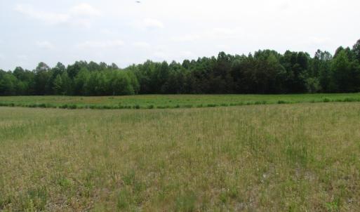 Photo of UNDER CONTRACT!  20 Acres of Hunting and Farm Land For Sale in Southampton County VA!