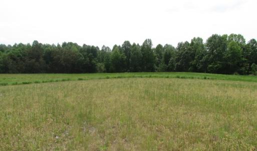 Photo of UNDER CONTRACT!  20 Acres of Hunting and Farm Land For Sale in Southampton County VA!
