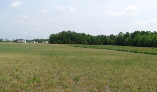 Photo of UNDER CONTRACT!  20 Acres of Hunting and Farm Land For Sale in Southampton County VA!