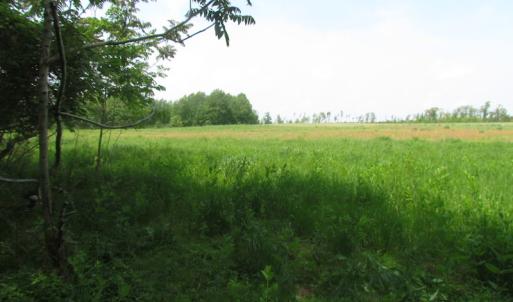 Photo of UNDER CONTRACT!  20 Acres of Hunting and Farm Land For Sale in Southampton County VA!