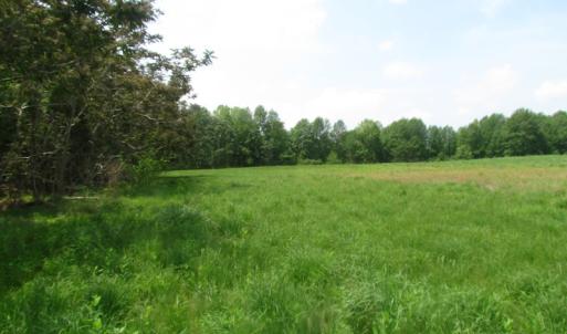 Photo of UNDER CONTRACT!  20 Acres of Hunting and Farm Land For Sale in Southampton County VA!