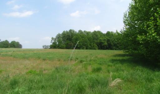 Photo of UNDER CONTRACT!  20 Acres of Hunting and Farm Land For Sale in Southampton County VA!