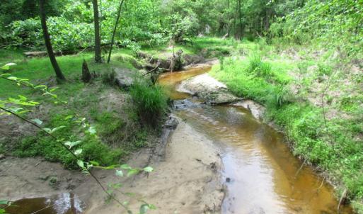 Photo of UNDER CONTRACT!  20 Acres of Hunting and Farm Land For Sale in Southampton County VA!