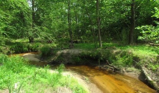 Photo of UNDER CONTRACT!  20 Acres of Hunting and Farm Land For Sale in Southampton County VA!