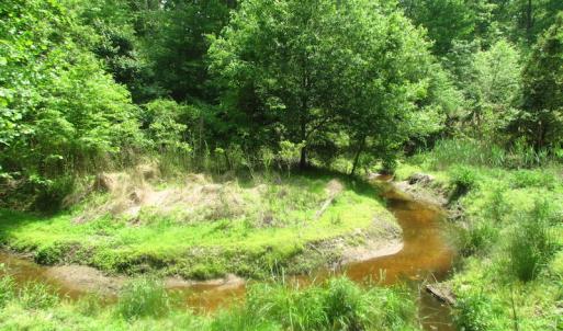 Photo of UNDER CONTRACT!  20 Acres of Hunting and Farm Land For Sale in Southampton County VA!