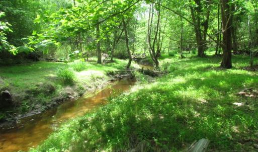 Photo of UNDER CONTRACT!  20 Acres of Hunting and Farm Land For Sale in Southampton County VA!