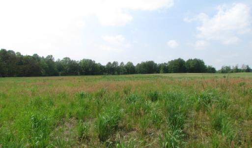 Photo of UNDER CONTRACT!  20 Acres of Hunting and Farm Land For Sale in Southampton County VA!