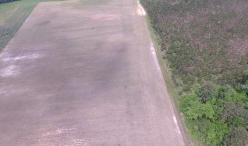 Photo of UNDER CONTRACT!  4.29 Acres of Farm Land For Sale in Southampton County VA!
