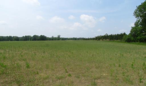 Photo of UNDER CONTRACT!  4.29 Acres of Farm Land For Sale in Southampton County VA!