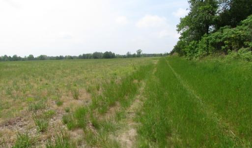 Photo of UNDER CONTRACT!  4.29 Acres of Farm Land For Sale in Southampton County VA!