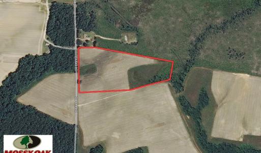 Photo of UNDER CONTRACT!  11 Acres of Farm Land For Sale in Southampton County VA!