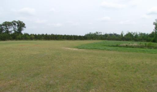 Photo of UNDER CONTRACT!  11 Acres of Farm Land For Sale in Southampton County VA!