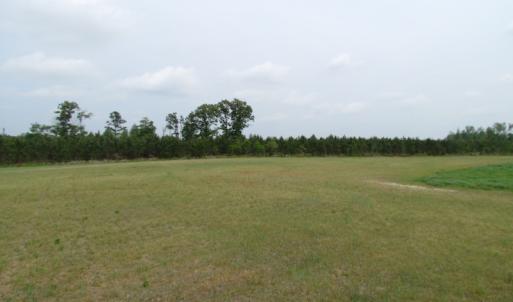 Photo of UNDER CONTRACT!  11 Acres of Farm Land For Sale in Southampton County VA!
