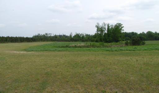 Photo of UNDER CONTRACT!  11 Acres of Farm Land For Sale in Southampton County VA!