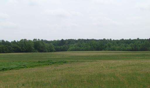 Photo of UNDER CONTRACT!  11 Acres of Farm Land For Sale in Southampton County VA!