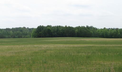 Photo of UNDER CONTRACT!  11 Acres of Farm Land For Sale in Southampton County VA!