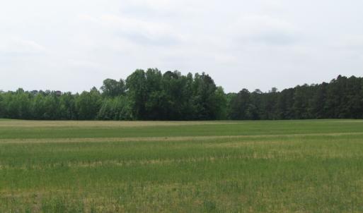 Photo of UNDER CONTRACT!  11 Acres of Farm Land For Sale in Southampton County VA!