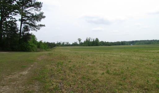 Photo of UNDER CONTRACT!  11 Acres of Farm Land For Sale in Southampton County VA!