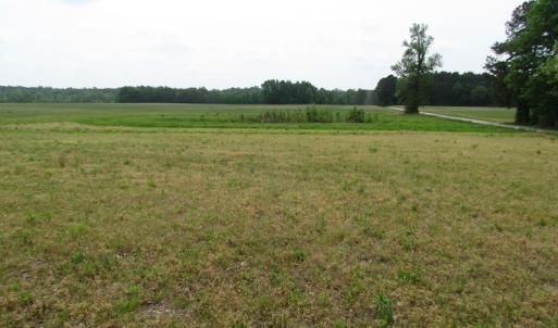 Photo of UNDER CONTRACT!  11 Acres of Farm Land For Sale in Southampton County VA!