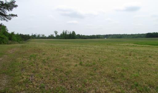 Photo of UNDER CONTRACT!  11 Acres of Farm Land For Sale in Southampton County VA!