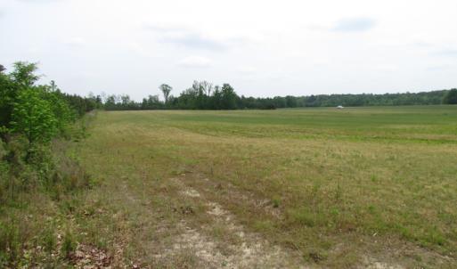 Photo of UNDER CONTRACT!  11 Acres of Farm Land For Sale in Southampton County VA!