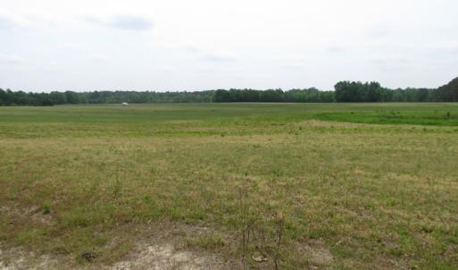 Photo of UNDER CONTRACT!  11 Acres of Farm Land For Sale in Southampton County VA!