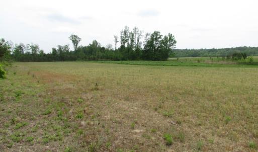 Photo of UNDER CONTRACT!  11 Acres of Farm Land For Sale in Southampton County VA!