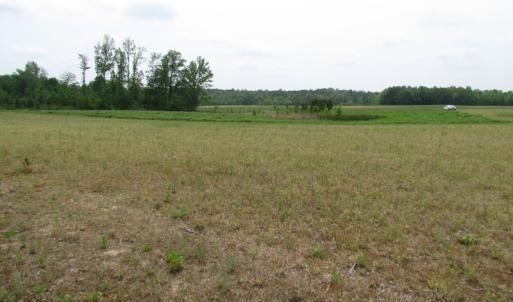 Photo of UNDER CONTRACT!  11 Acres of Farm Land For Sale in Southampton County VA!