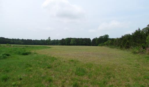 Photo of UNDER CONTRACT!  11 Acres of Farm Land For Sale in Southampton County VA!